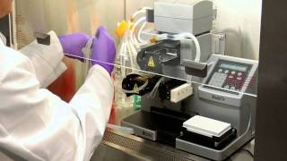 BIOTEK MULTIFLO MICROPLATE DISPENSER DEMO [upl. by Ateiram]