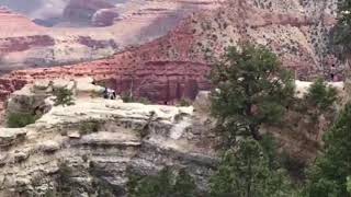 Onlookers scream as woman falls to her death at the Grand Canyon [upl. by Noiraa]