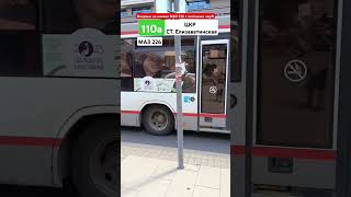 МАЗ 226🚌Краснодар ТроллейбусАвтобусКРД TransportKrasnodar292 transkrd TransSouth [upl. by Creamer542]