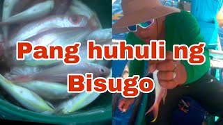 Isdang Bisugo  Pang huhuli fishing fishing fishingvideo viralvideo fish [upl. by Amuh]