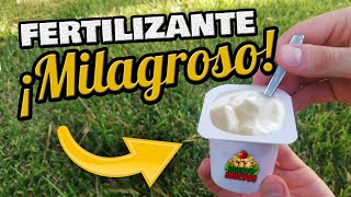 ¡FERTILIZANTE CASERO usando 1 YOGUR ⭐ Abono Orgánico y Fungicida para Plantas y Hortalizas [upl. by Attennaj859]