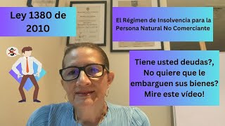 Régimen de Insolvencia para la Persona Natural No Comerciante en Colombia Ley 1380 de 2010 [upl. by Ahtekal167]