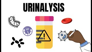 Urinalysis Interpretation QUICK and EASY [upl. by Htelimay]