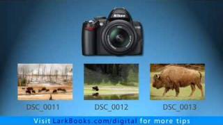 Nikon D3000 Changing the File Number Sequence [upl. by Reifnnej]