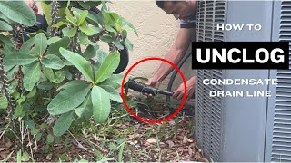 How To Unclog Condensate Drain Line [upl. by Mignonne271]