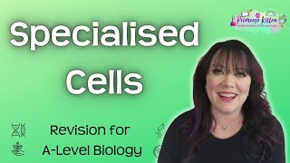 Specialised Cells  Revision for Biology ALevel [upl. by Rengia]