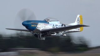 P51 Mustang Lowpasses and V12 Sound plus whistling [upl. by Mcgrody868]