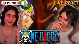 THE GOAT OF ONE PIECE RETURNS  One Piece Episode 1113 Live React [upl. by Donnell]