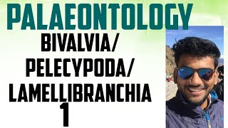 palaeontology lecture series bivalvia pelecyopoda lamellibranchia part12 [upl. by Domela]