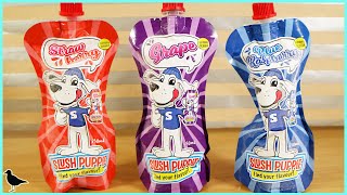 Slush Puppie Frozen Pouches Food Review Blue Raspberry Grape Strawberry  Birdew Reviews [upl. by Earized674]