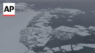 Scientists say melting Antarctic iceberg poses major sea level threat [upl. by Thorncombe]