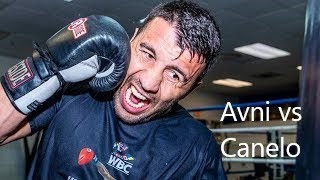 Avni Yildirim Training Motivation  Highlights 2020 vs Canelo Alvarez [upl. by Neukam263]