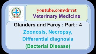 Glanders Part 4  zoonosis necropsy differential diagnosis [upl. by Kelda907]