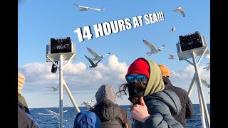 My 1st PELAGIC Birding Trip 14 Hours at Sea [upl. by Nwotna]