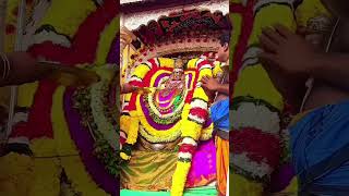 ஓம் நமசிவாய l Sivan Video sivan shiv Tiruvannamalai annamalaiyar girivalam arunachalam lord [upl. by Broucek]