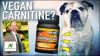 Carnitine Carnosine amp Creatine OH MY  Dr Michael Greger of Nutritionfactsorg [upl. by Marwin]