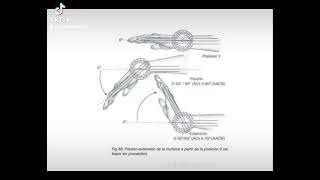 Goniometria de la muñeca [upl. by Corrie]