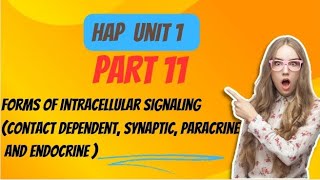 Forms of intracellular signaling contact dependent paracrine synaptic amp endocrine Part 11 [upl. by Hayse]