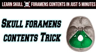 Mnemonic for skull foramens contents [upl. by Aizirk765]