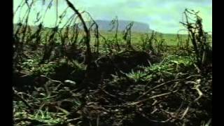 The Great Famine  Part 1 of 2 BBC 1995 [upl. by Janette]