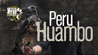 Eagle lands on Armhuambo town peru andesmountains perutourism [upl. by Ayotahc]