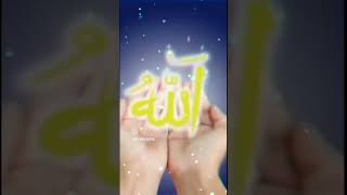 HAIDER E KARRAR islam shots video [upl. by Shaeffer]