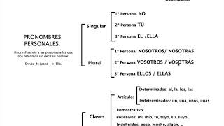 Análisis morfológico y esquema chuleta [upl. by Aciretahs121]