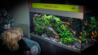 ATTRACTIVE AQUARIUM LIGHTING UPGRADES 4K [upl. by Annahael]