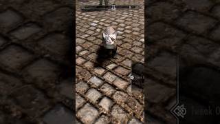 Skyrim Khajiit shorts skyrim Gaming Gamersworld [upl. by Campos574]