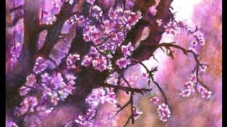 ✿Waltz of the Blossoming Trees✿ amp Charming Cherry Blossom Art [upl. by Naffets]