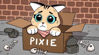 The Past of Pixie [upl. by Townie]