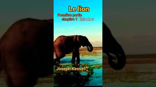 Le lion  Épisode 3  Joseph Kessel [upl. by Airamzul]