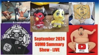 September 2024  Day 8  SUMO Summary Show  LIVE [upl. by Perice]