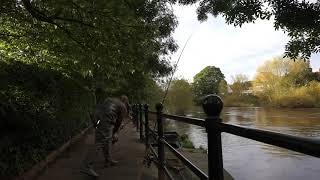 Short Barbel session at Bridgnorth [upl. by Reld]