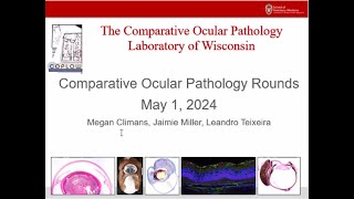 COPLOW Ocular Pathology Rounds May 1 2024 [upl. by Coffey893]