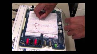 Voltage Measurement using NI ELVIS II  Part 2 [upl. by Uhile]