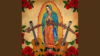 Las Apariciones Guadalupanas [upl. by Ostap]