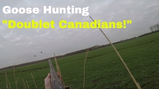 quotDoublet Canadasquot Goose hunting ganzenjacht in Holland with a browning A5 [upl. by Aniretak]