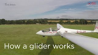 How a glider works [upl. by Ertnom63]