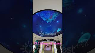 CanbestCustomized ceiling small pitch Digital Flexible LED Display leddisplay ledscreensupplier [upl. by Berner]