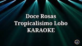 Doce rosas  Tropicalisimo Lobo Karaoke [upl. by Ahsan]