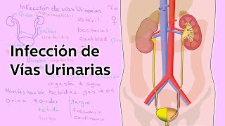 Infección de Vías Urinarias  Salud  Educatina [upl. by Neale]