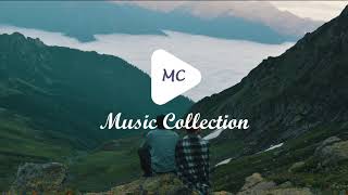 Dj Quads  Honey My Love No Copyright Music [upl. by Jarlath]