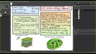 Biology  Module 5  Class Notes p 12 [upl. by Anua45]