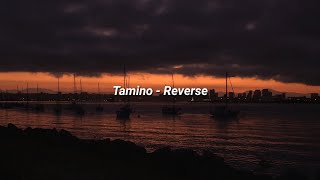 Tamino  Reverse Lyrics [upl. by Carlota810]