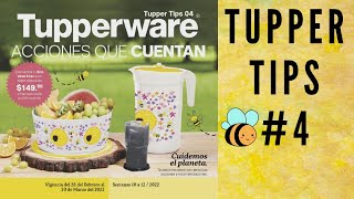 Tupper Tips 4 2022  TUPPERWARE MÉXICO  catalogo tupperware [upl. by Keven126]