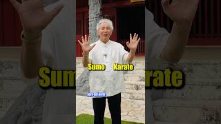 【Sumo and Karate】The open hand is different [upl. by Marven]