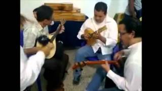 Mandola Mandolina Cuatro y Maracas Tocando musica Venezolana [upl. by Karsten]