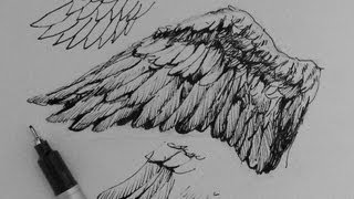 Pen amp Ink Drawing Tutorials  How to draw wings [upl. by Garlan]