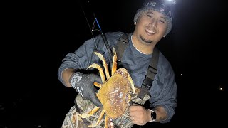 Gauge buster Dungeness crabs 🦀 Night crabbing dungenesscrab crabbing crabsnaring [upl. by Yhcir]